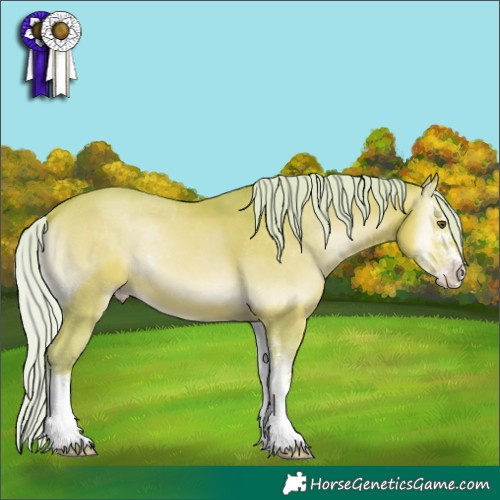 Horse Color:Watercolor Silver Amber Champagne Onyx Sabino 