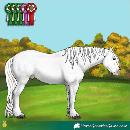 Horse Color:Watercolor White Spotted Silver Blue Onyx Ice Appaloosa 