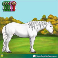 Horse Color:Watercolor White Spotted Silver Blue Onyx Ice Appaloosa 