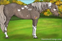 Horse Color:Silver Black Tobiano 