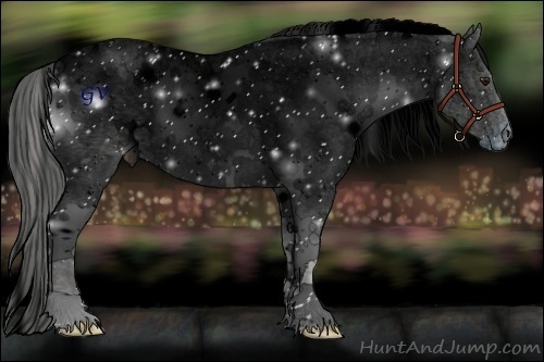 Horse Color:ERROR: UNKNOWN ANOMALY