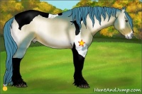 Horse Color:Watercolor Liver Red Onyx Tobiano