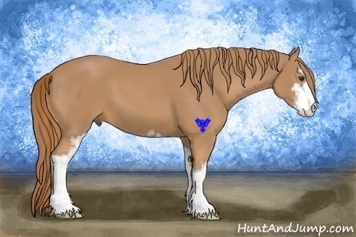 Horse Color:Chestnut Sabino 