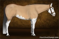 Horse Color:Bay Roan Dun Splash