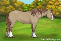 Horse Color:Liver Red Dun Sabino Splash Rabicano