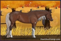 Horse Color:Silver Brown 