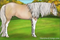 Horse Color:Silver Brown Pearl Sabino