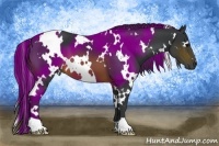 Horse Color:White Spotted Brown 
