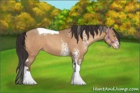 Horse Color:White Spotted Amber Champagne Tobiano