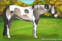 Horse Color:Smoky Blue Onyx Tobiano 