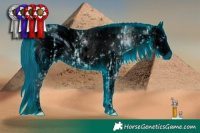 Horse Color:ERROR: UNKNOWN ANOMALY and ERROR: UNKNOWN ANOMALY