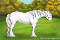 Horse Color:White Spotted Silver Buckskin Pearl Splash Tobiano