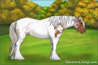 Horse Color:White Spotted Silver Bay Tobiano