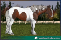 Horse Color:Silver Brown Tobiano 