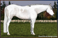 Horse Color:Gray Silver Brown Tobiano Rabicano