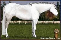 Horse Color:Gray Bay Tobiano Rabicano 
