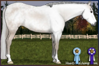 Horse Color:Gray Bay Rabicano