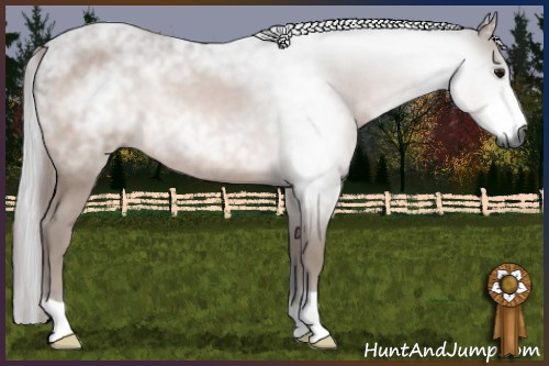 Horse Color:Gray Brown 