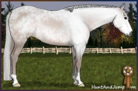 Horse Color:Gray Brown 