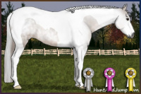 Horse Color:Gray Bay Tobiano 