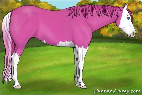 Horse Color:Perlino Dun Splash 