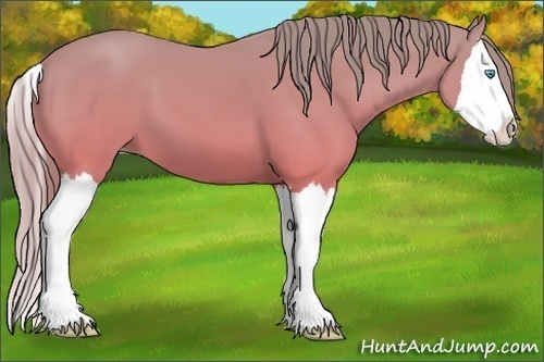 Horse Color:Perlino Dun Splash 