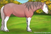 Horse Color:Perlino Dun Splash