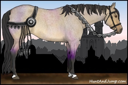 Horse Color:Buckskin Roan Dun Rabicano 