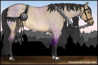 Horse Color:Buckskin Roan Dun Rabicano