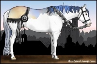 Horse Color:Buckskin Onyx Splash 