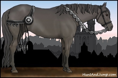 Horse Color:Smoky Black 