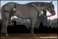 Horse Color:Smoky Black 