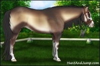 Horse Color:Liver Red Onyx Sabino 