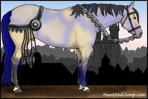 Horse Color:Buckskin Dun 