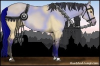 Horse Color:Buckskin Dun 