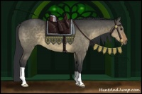 Horse Color:Brown Dun