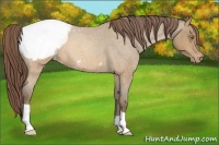 Horse Color:Sable Champagne Roan Snowcap 