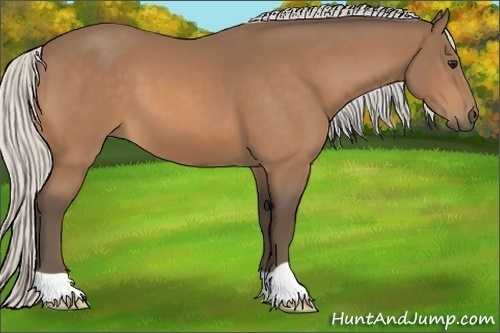 Horse Color:Silver Buckskin 