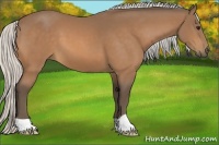 Horse Color:Silver Buckskin 