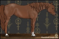 Horse Color:Chestnut Sabino