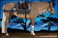 Horse Color:Chocolate Silver Buckskin 