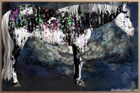 Horse Color:White Spotted Blue Ice Roan Varnish  and Black Ice Varnish 
