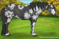 Horse Color:Smoky Black Ice 