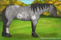 Horse Color:Smoky Blue Ice Roan 