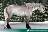 Horse Color:Chocolate Silver Brown Chinchilla Sabino Splash