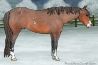 Horse Color:Bay Sabino Varnish 