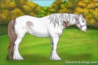 Horse Color:White Spotted Liver Chestnut Tobiano 
