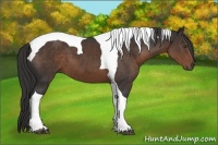 Horse Color:Liver Chestnut Tobiano 