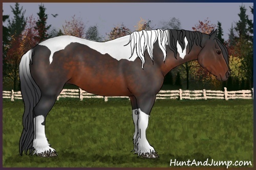 Horse Color:Brown Tobiano