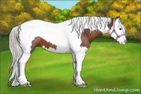 Horse Color:Silver Bay Splash Tobiano 